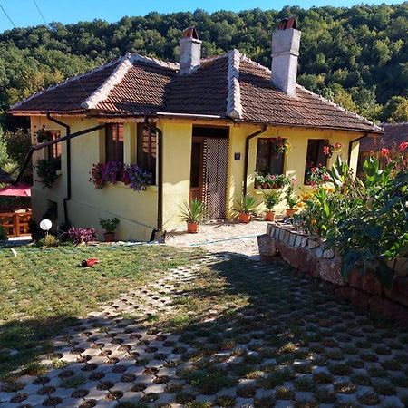 Guest House „Ivanovata house” Yanovets Extérieur photo