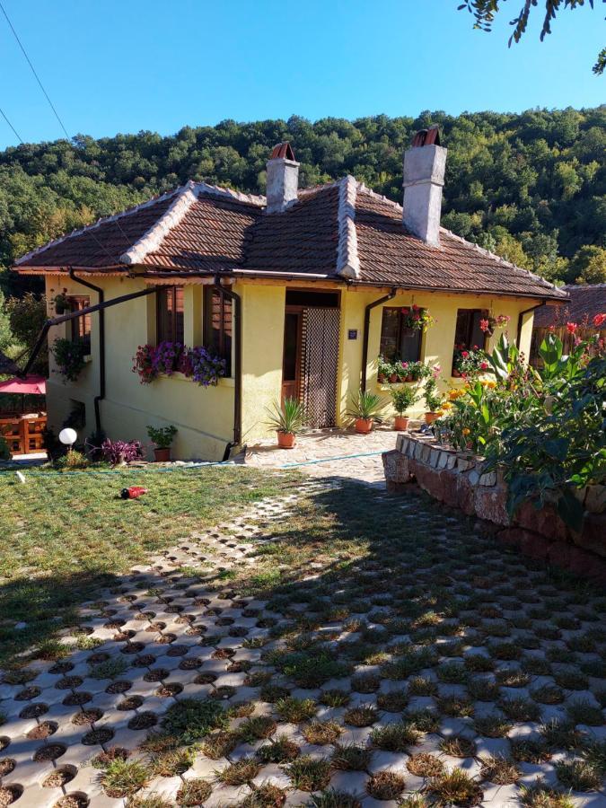 Guest House „Ivanovata house” Yanovets Extérieur photo