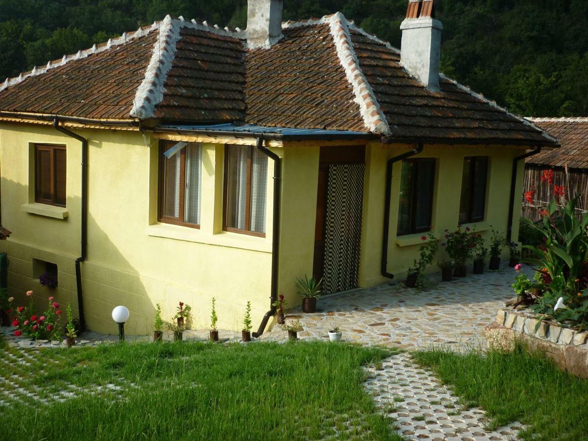 Guest House „Ivanovata house” Yanovets Extérieur photo